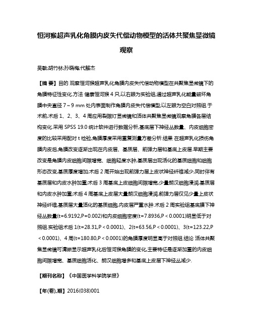 恒河猴超声乳化角膜内皮失代偿动物模型的活体共聚焦显微镜观察