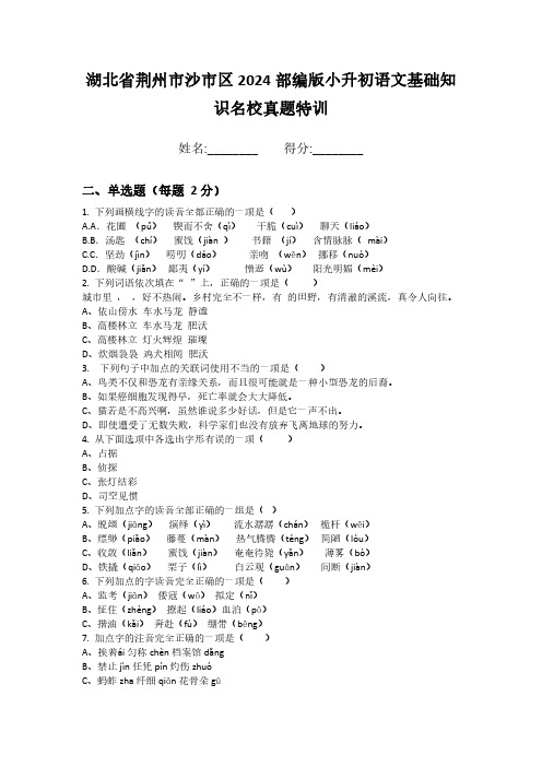 湖北省荆州市沙市区2024部编版小升初语文基础知识名校真题特训