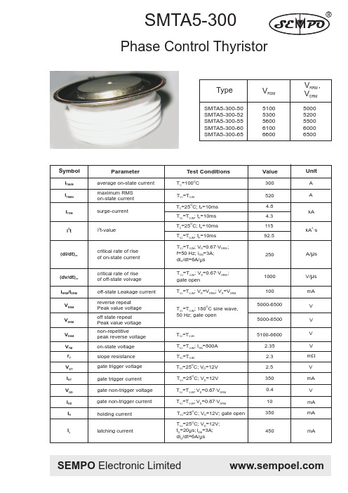 SMTA5-300-55中文资料