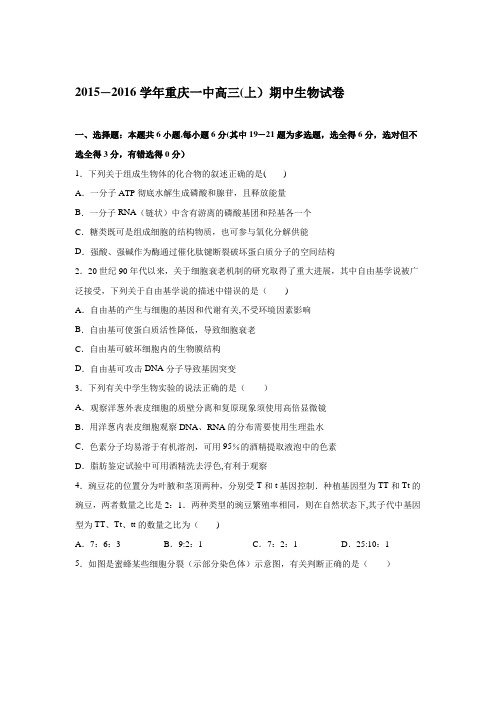 重庆一中2016届高三上学期期中生物试卷 含解析