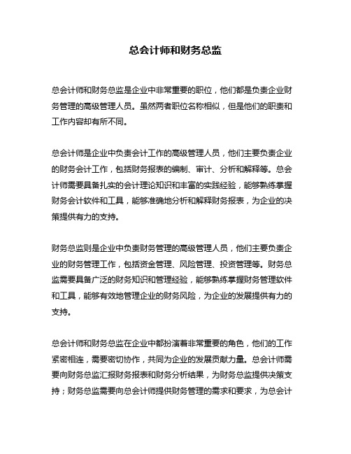 总会计师和财务总监