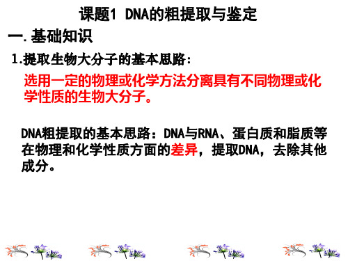 高中生物选修专题DNA和蛋白质技术