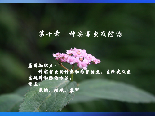 第十章 种实害虫  第十一章蛀干害虫及防治