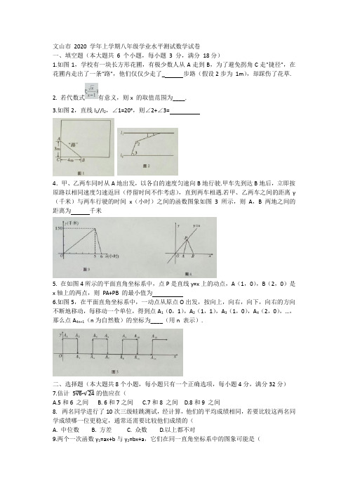 云南省文山市2020-2021学年八年级上学期期末学业水平测试数学试题