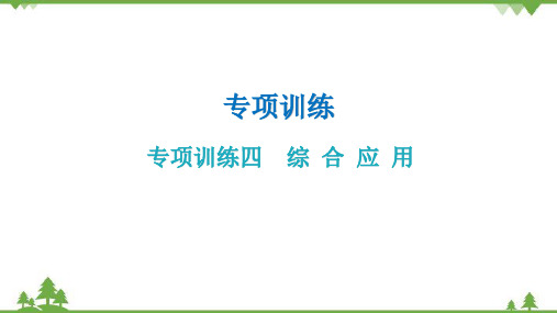 人教版生物八年级下册 专项训练四  综 合 应 用习题课件(共22张PPT)