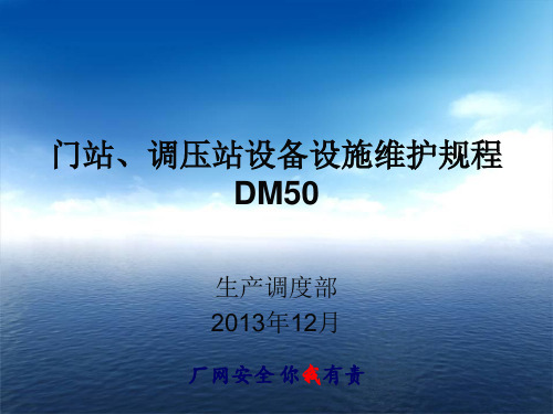 门站调压站DM50