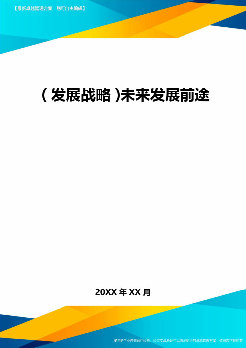 2020年(发展战略)未来发展前途