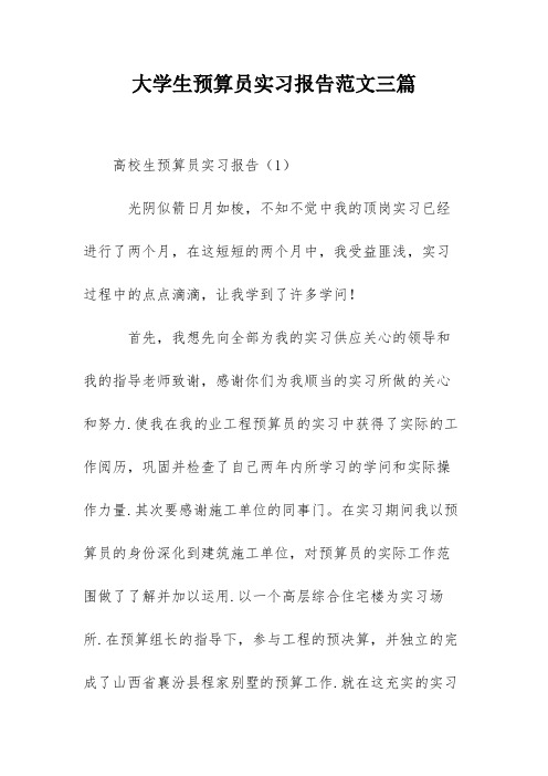 大学生预算员实习报告范文三篇