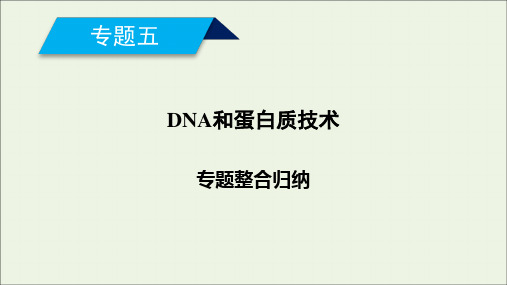 2021学年高中生物专题五DNA和蛋白质技术整合归纳5课件人教版选修1.ppt