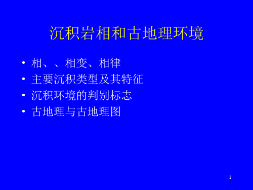 沉积岩相和古地理环境主要沉积类型及其特征