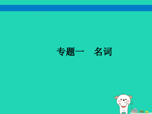 (课标通用)安徽省中考英语总复习专题1名词课件