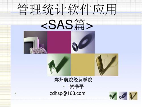 sas(第2版)-1(概述)