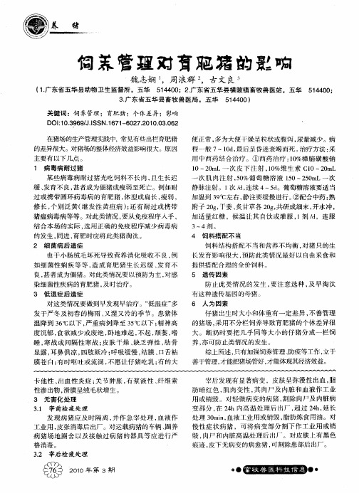 饲养管理对育肥猪的影响