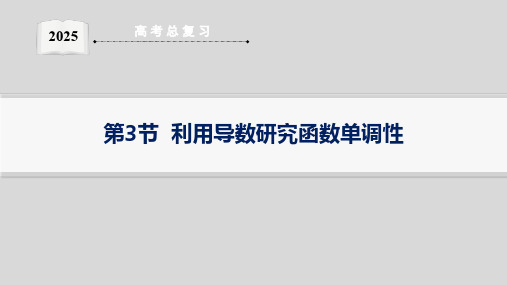 第3节  利用导数研究函数单调性--2025高中数学一轮复习课件基础版(新高考新教材)