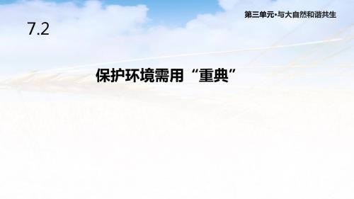 鲁人版道德与法治九年级上册7.2《保护环境需用“重典”》课件