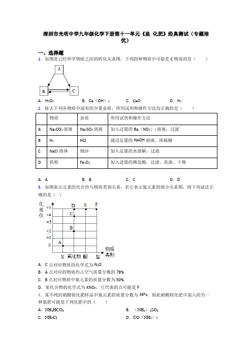 深圳市光明中学九年级化学下册第十一单元《盐 化肥》经典测试(专题培优)