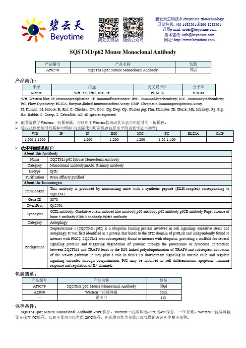 SQSTM1 p62 Mouse Monoclonal Antibody 产品说明书