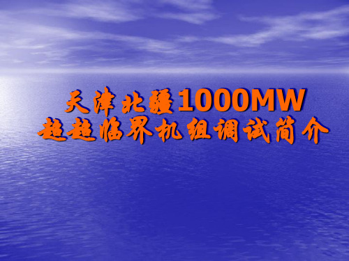 天津北疆1000MW超超临界机组调试介绍