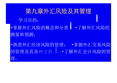 外汇风险及其管理