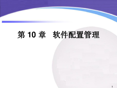 第10章_软件配置管理