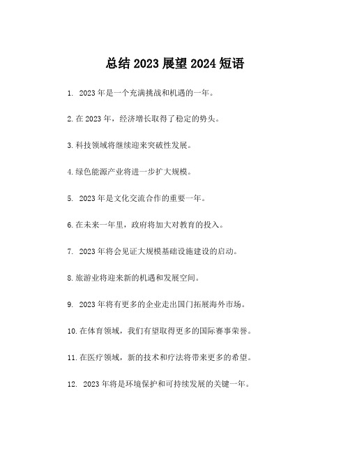 总结2023展望2024短语