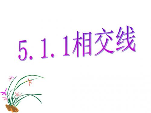 5.1.1 相交线 (2)