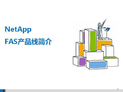 NetApp FAS产品线简介