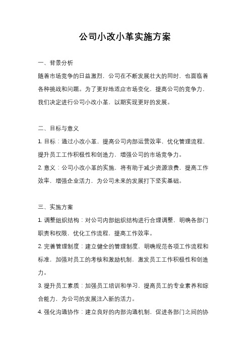 公司小改小革实施方案