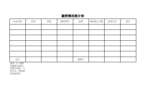 融资情况统计表