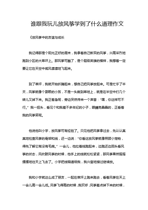 谁跟我玩儿放风筝学到了什么道理作文