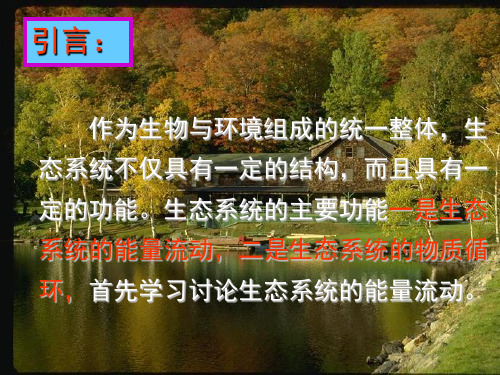 生态系统的能量流动ppt课件(优质推荐)32(23个) 人教课标版2