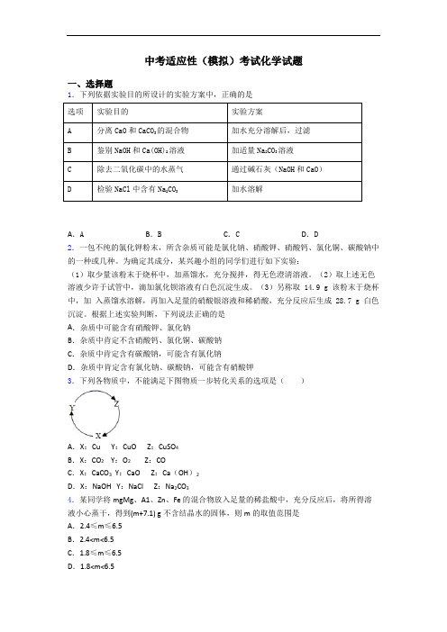 中考适应性(模拟)考试化学试题