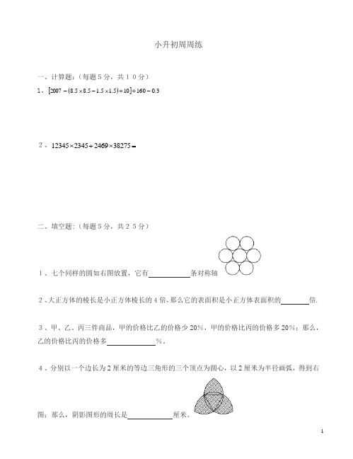 青岛版六年级数学小升初周周练(19)