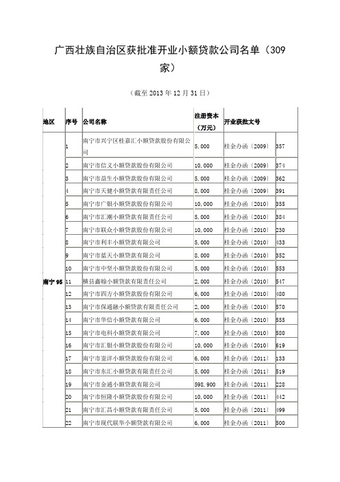 截止2013年底广西小额信贷公司名单