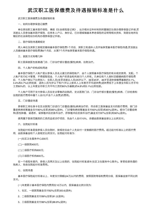 武汉职工医保缴费及待遇报销标准是什么