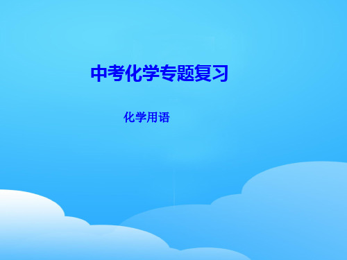 人教版中考化学专题复习：化学用语  课件 ppt