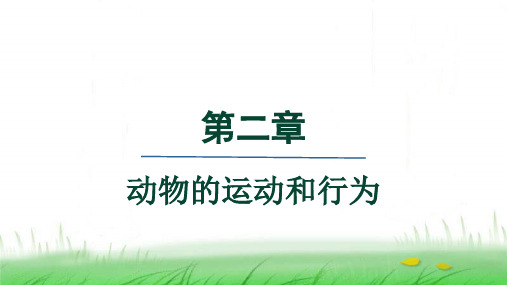 人教版八年级生物上册第五单元第二章动物的运动和行为大单元整体设计课件