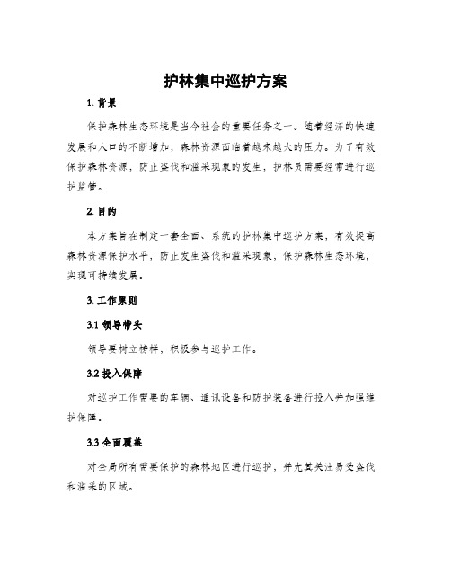 护林集中巡护方案