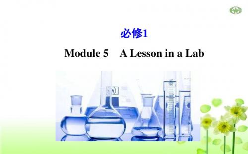 外研版必修1 Module 5 A Lesson in a Lab