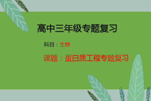 2020高考生物蛋白质工程专题复习课件(共28张PPT)