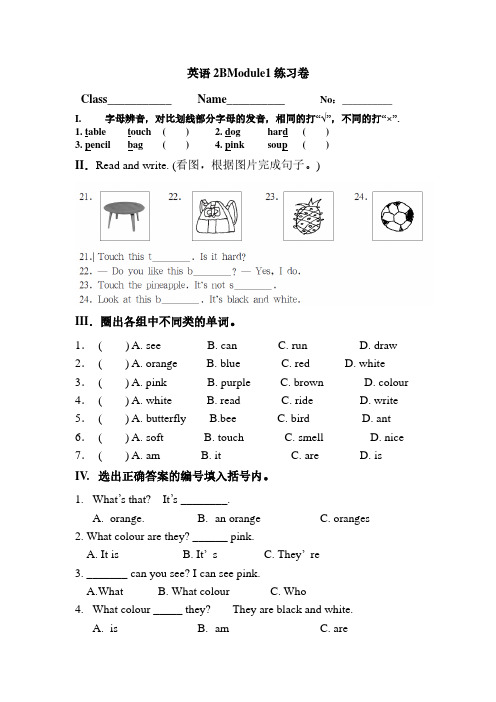 上海牛津版二年级下册英语2BM1试卷