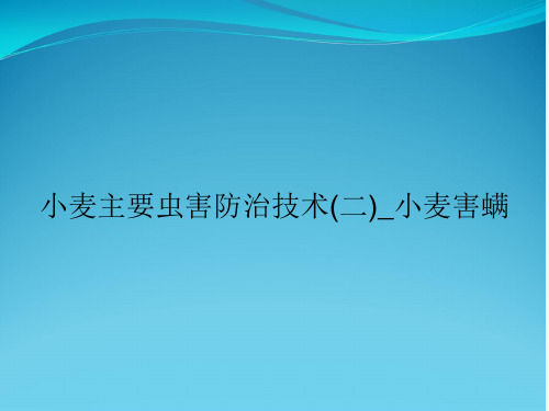 小麦主要虫害防治技术(二)_小麦害螨