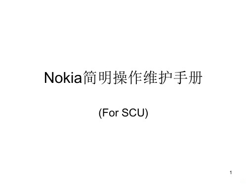 Nokia操作维护手册 PPT课件