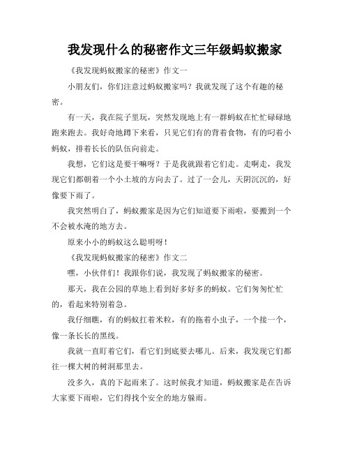 我发现什么的秘密作文三年级蚂蚁搬家