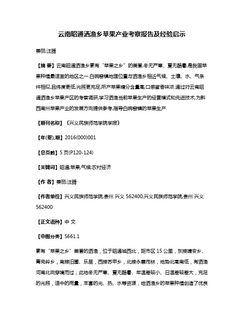 云南昭通洒渔乡苹果产业考察报告及经验启示