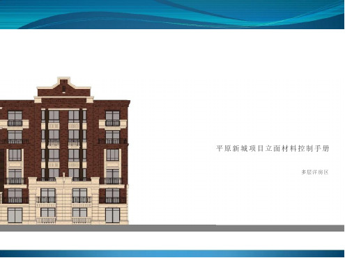 新城地产集团  研发设计  平原新城项目立面材料控制手册