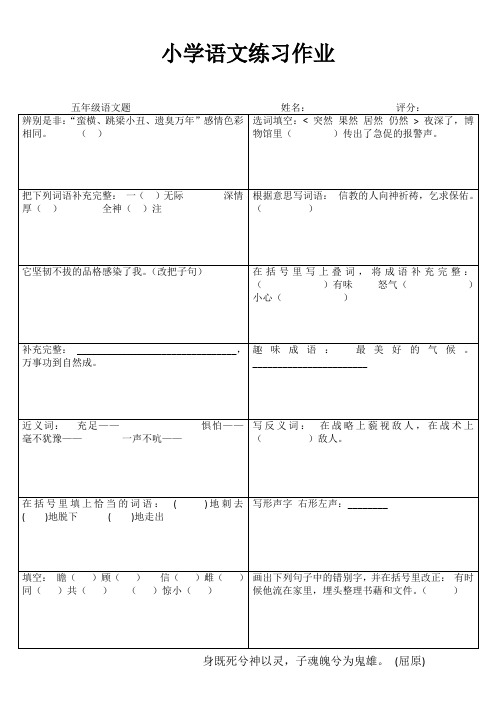 小学五年级语文精题选做IV (10)