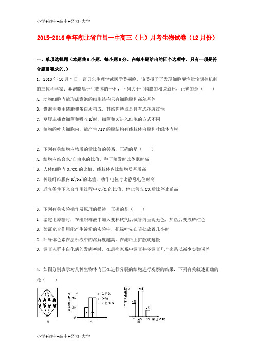 配套K12高三生物上学期12月月考试卷(含解析)2