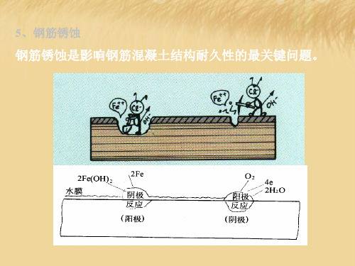 钢筋锈蚀钢筋锈蚀是影响钢筋混凝土结构耐久性的最关键问题