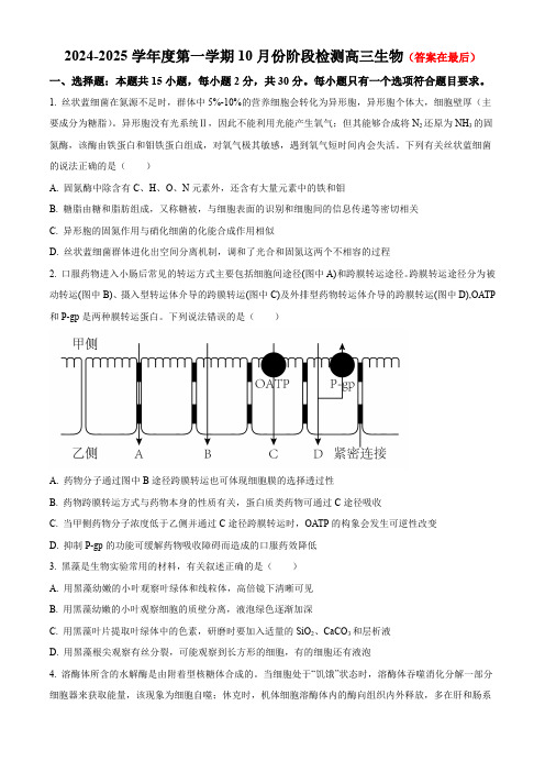 山东省滕州市2024-2025学年高三上学期10月月考试题 生物含答案